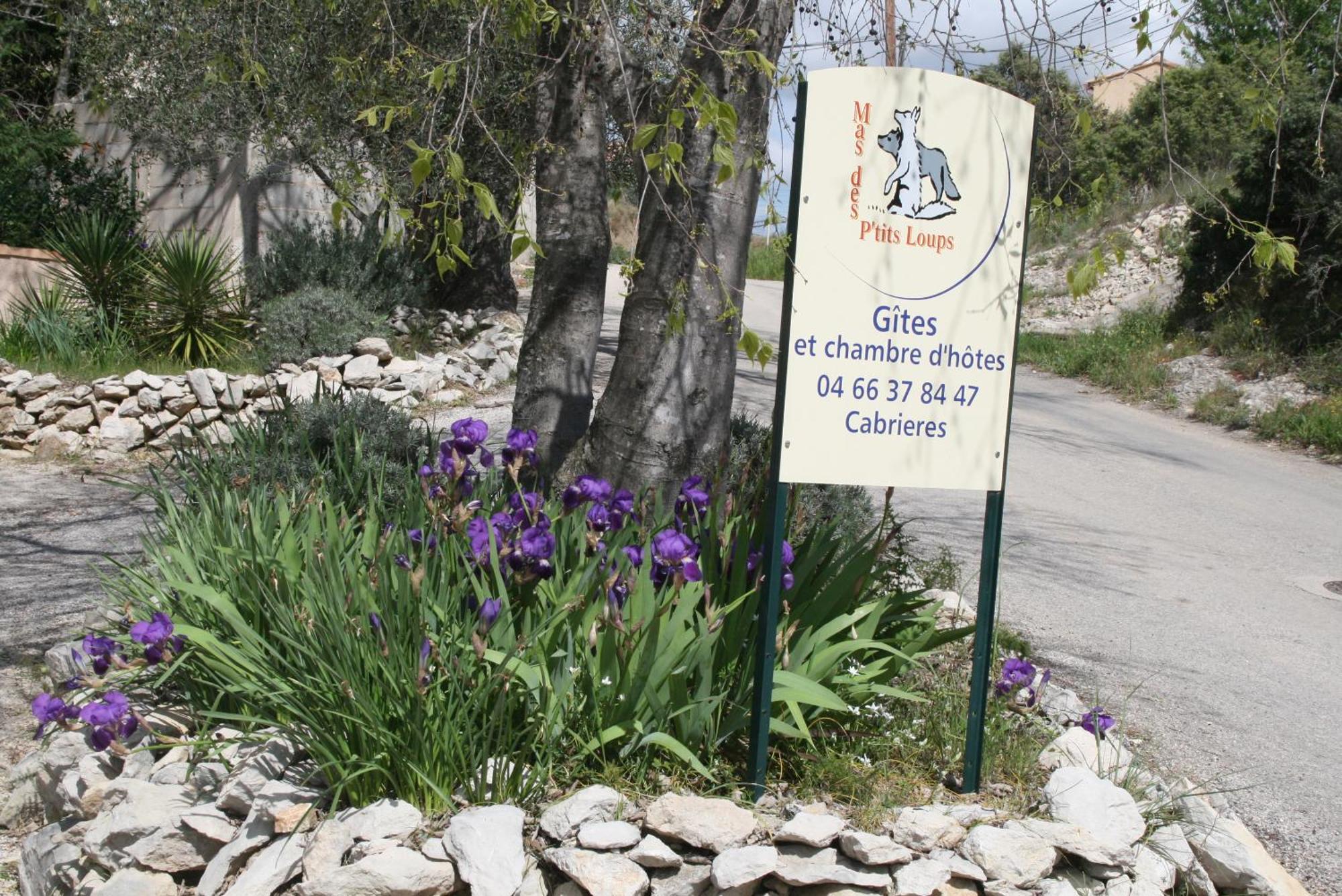 Villa Mas Des Petits Loups Cabrières Exterior foto