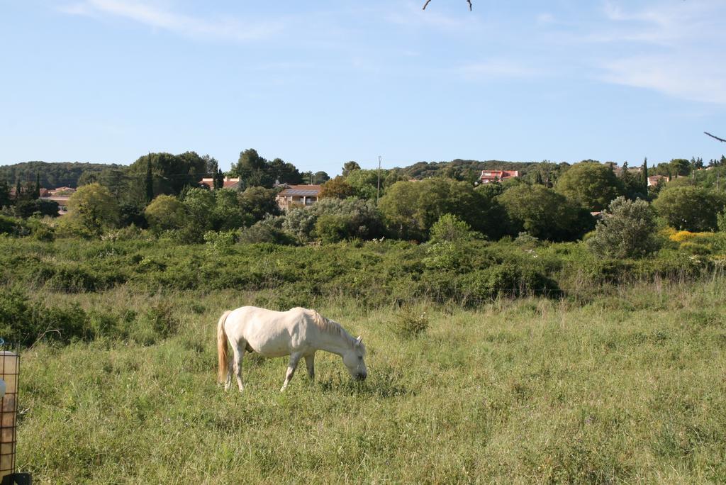 Villa Mas Des Petits Loups Cabrières Exterior foto